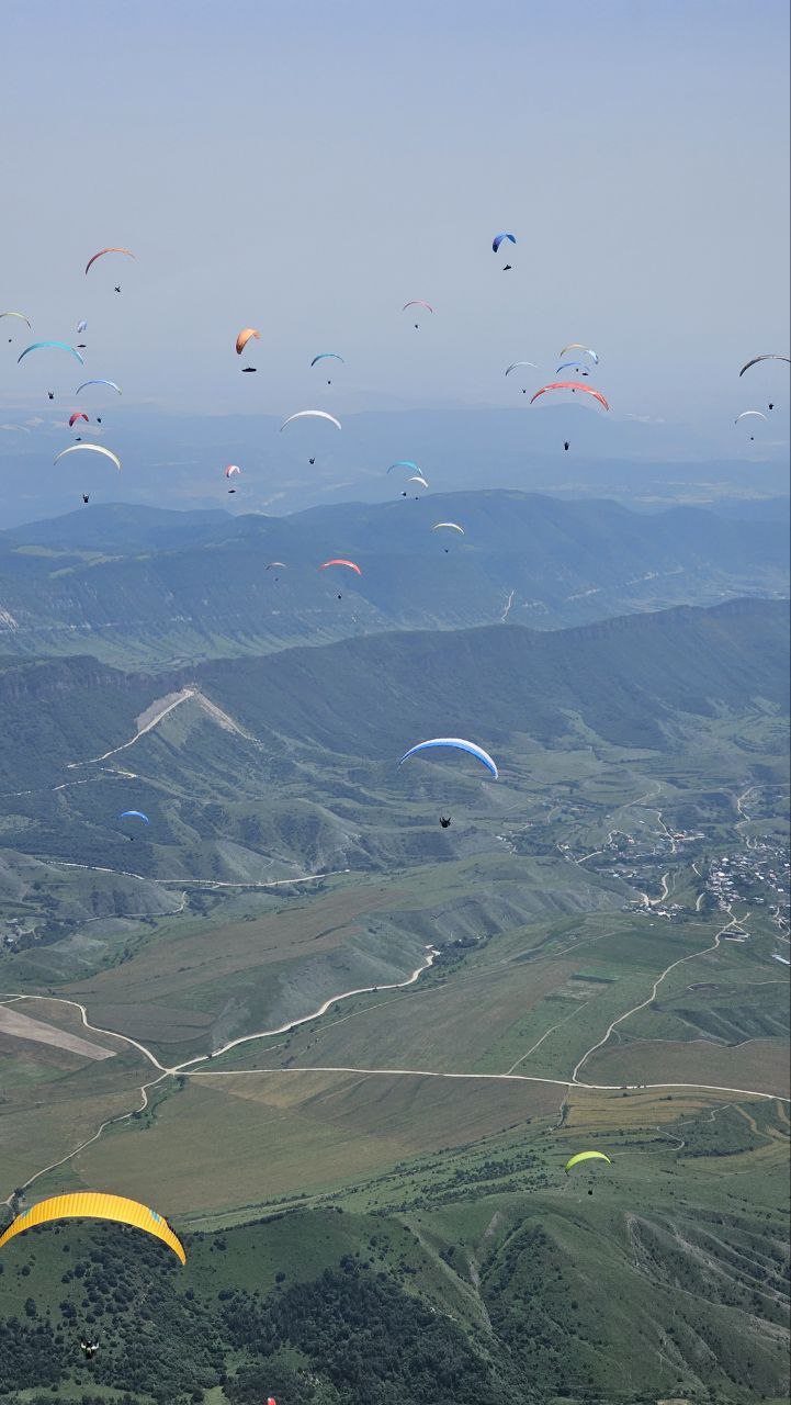 Чемпионат России