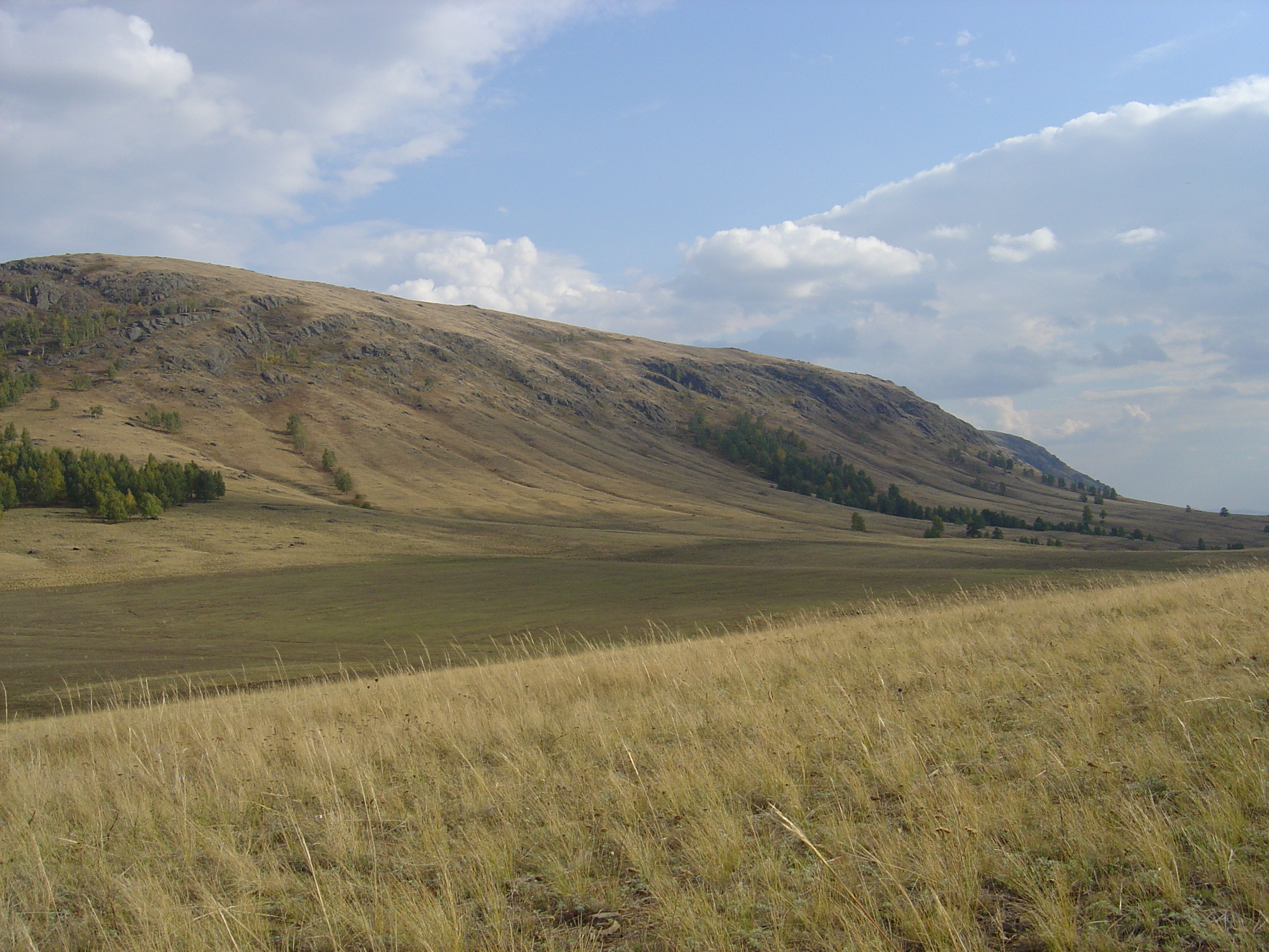 Чемпионат России 2025